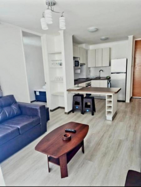 departamento full equipado, a pasos de la playa